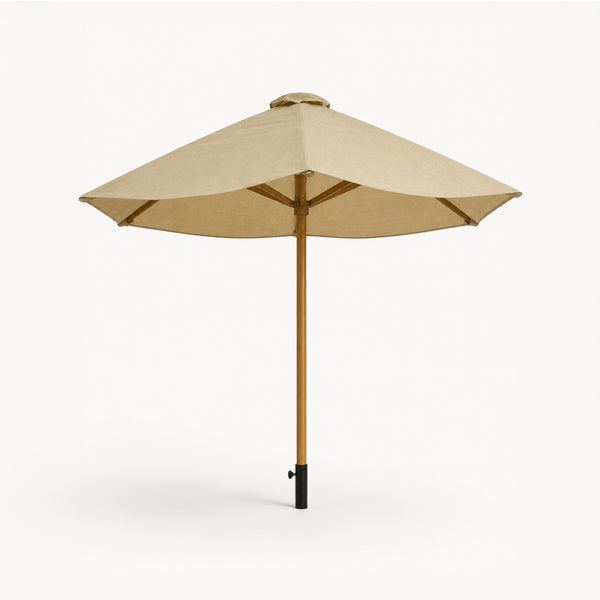 Umbrella